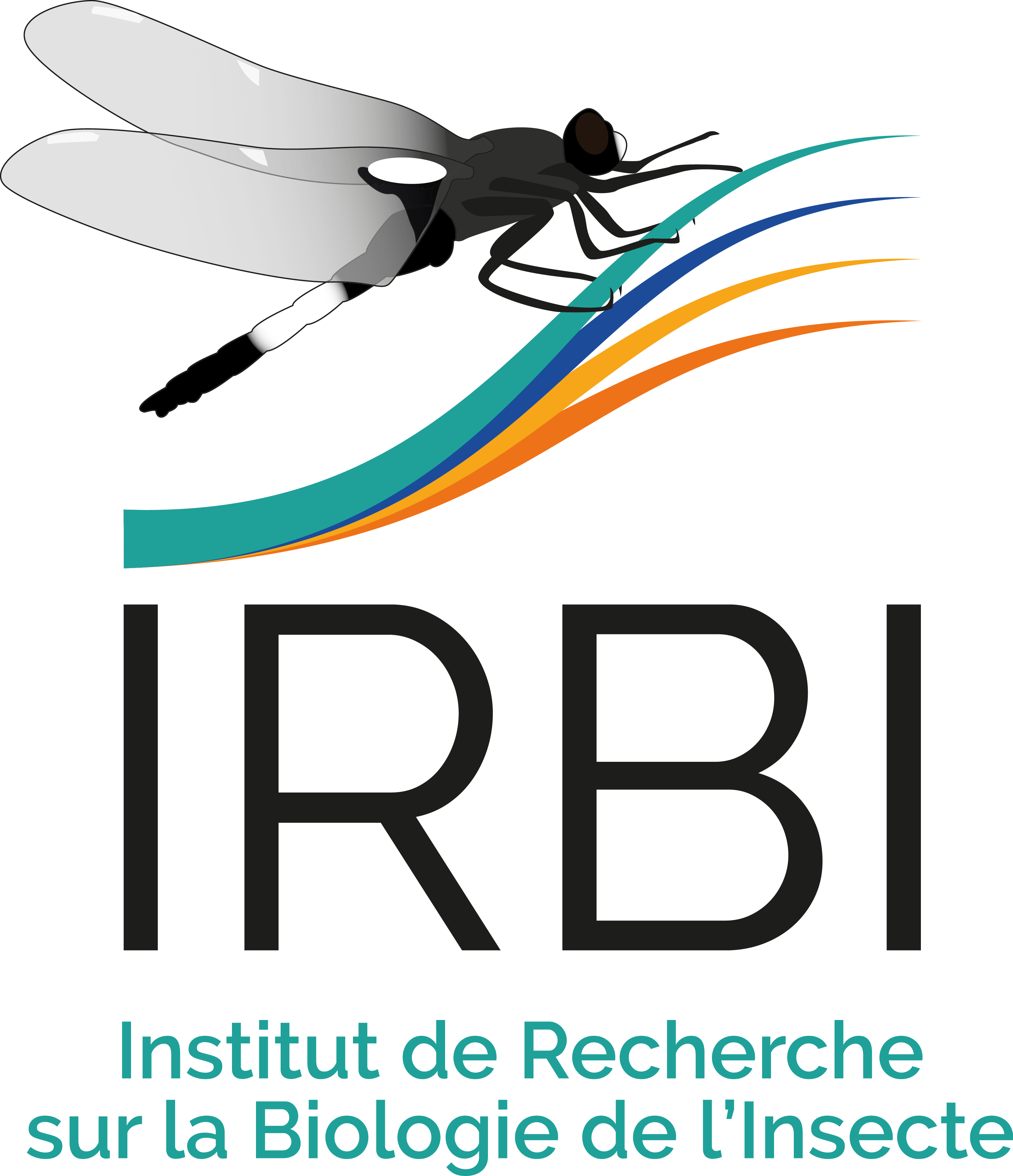 Logo_IRBI